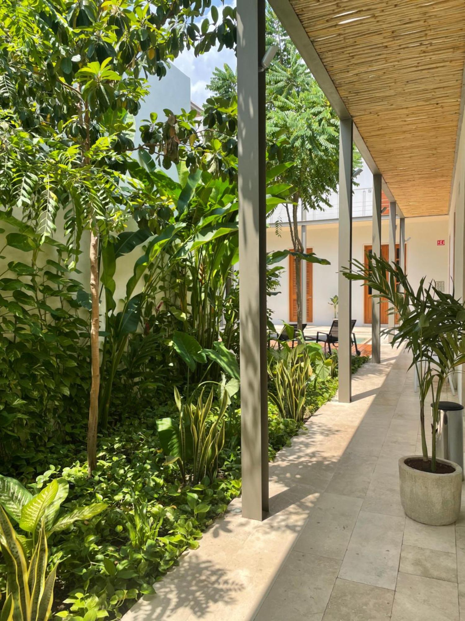 Villa Orquidea Boutique Hotel メリダ エクステリア 写真